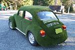 lawn beetle.jpg